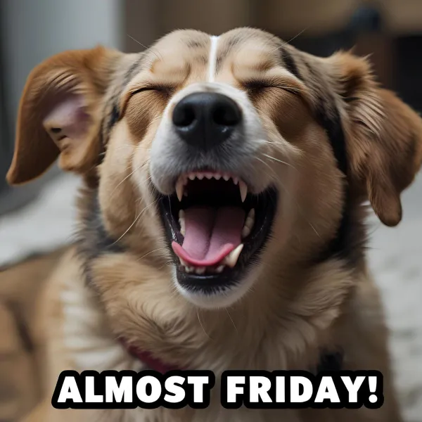 Thursday Jokes