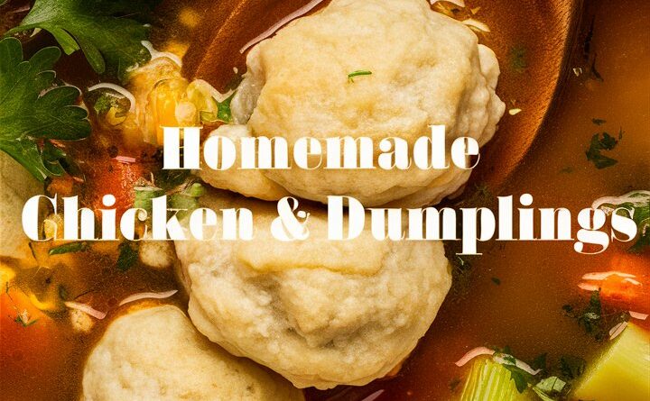Chicken and Dumpling Soup